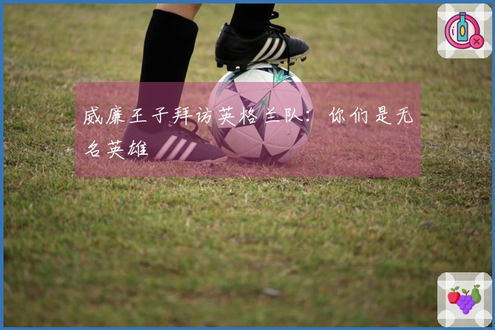 威廉王子拜访英格兰队：你们是无名英雄